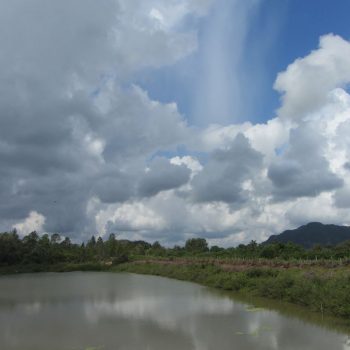 Vallei de Viñales